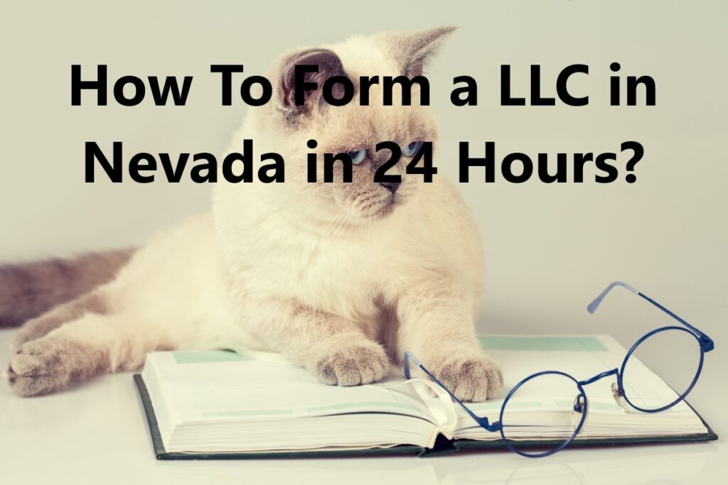 How To Form a LLC in Nevada in 24 Hours